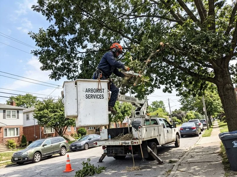Tree Trimming & Pruning project in Westchester County