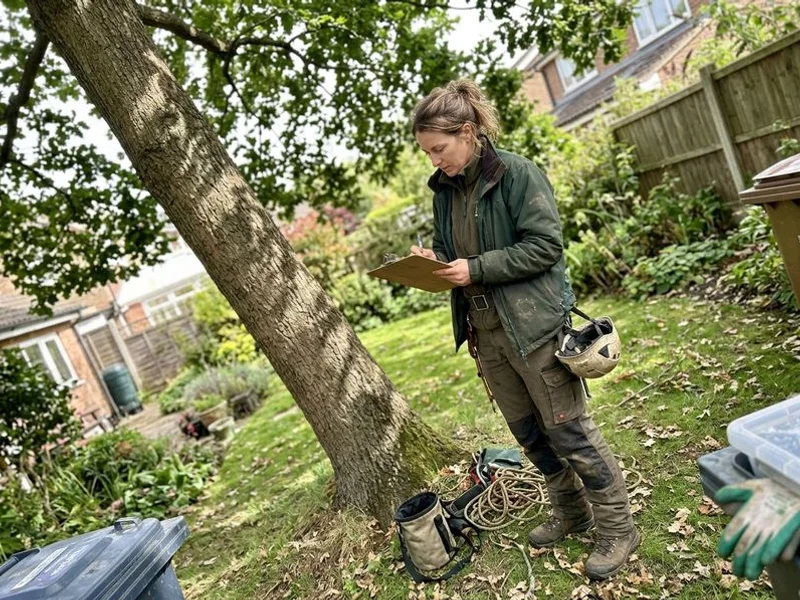 Tree Health Assessments & Disease Diagnosis project in Westchester County
