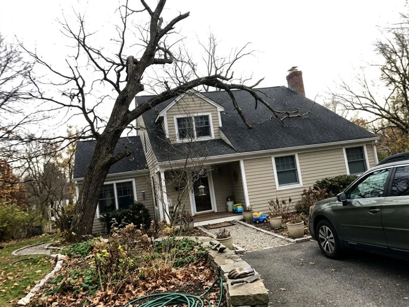 Tree Removal in Westchester County