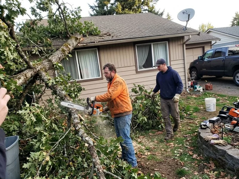 Emergency Tree Service project in Westchester County