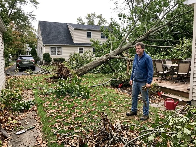 Storm Damage Cleanup in Westchester County