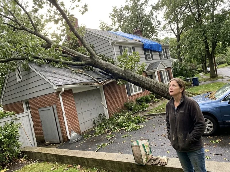 Emergency Tree Service in Westchester County