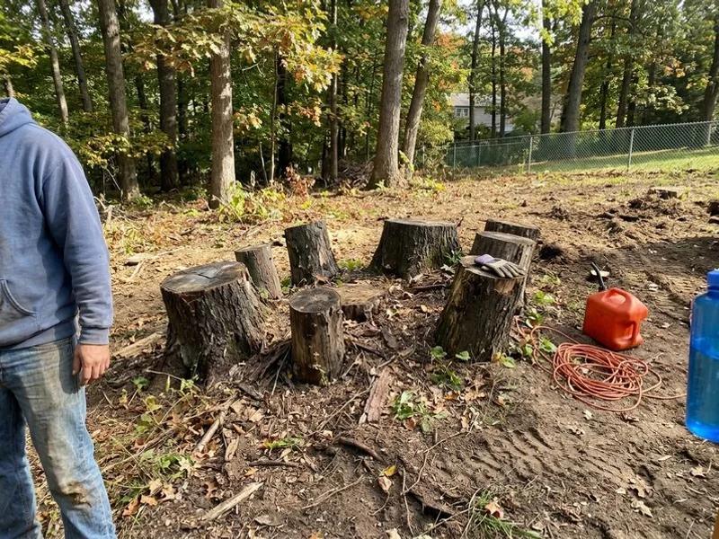 Stump Grinding & Removal project in Westchester County