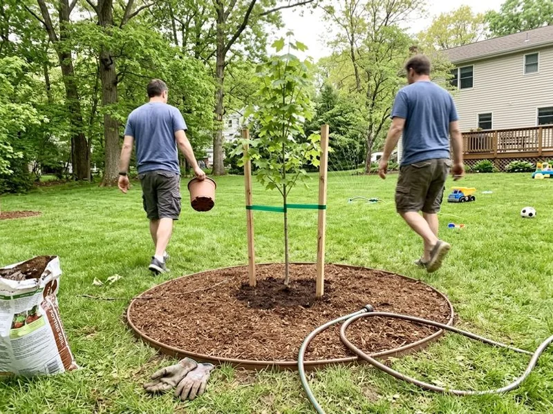 Tree Planting & Transplanting in Westchester County