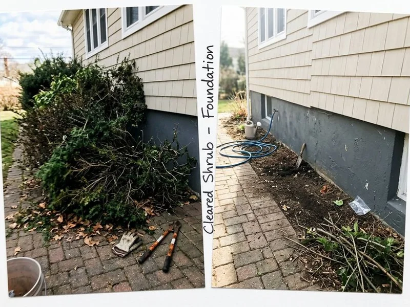 Shrub & Hedge Trimming project in Westchester County