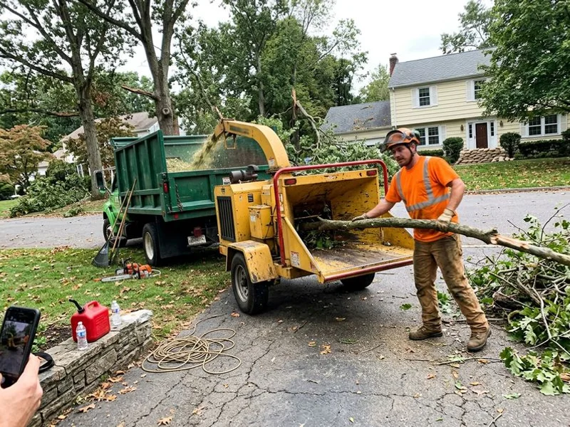 Storm cleanup in New Rochelle