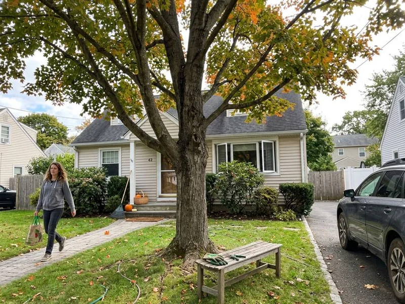 Tree Trimming & Pruning in Westchester County